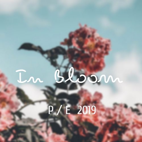 In Bloom P / E 2019